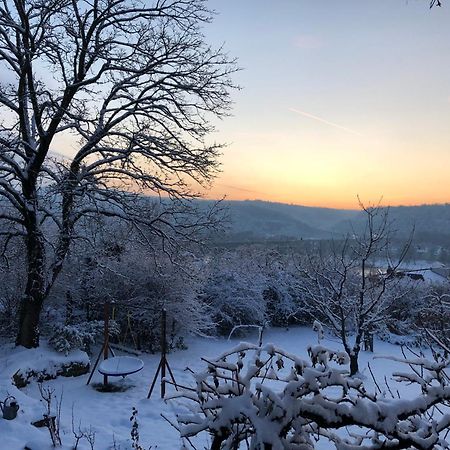 Ueber Den Daechern Von Koblenz - Aussichts-Wohnung Naturpark Rheinblick, Ruhig, Zentrumsnah, Sport-Pool Esterno foto