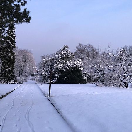 Ueber Den Daechern Von Koblenz - Aussichts-Wohnung Naturpark Rheinblick, Ruhig, Zentrumsnah, Sport-Pool Esterno foto