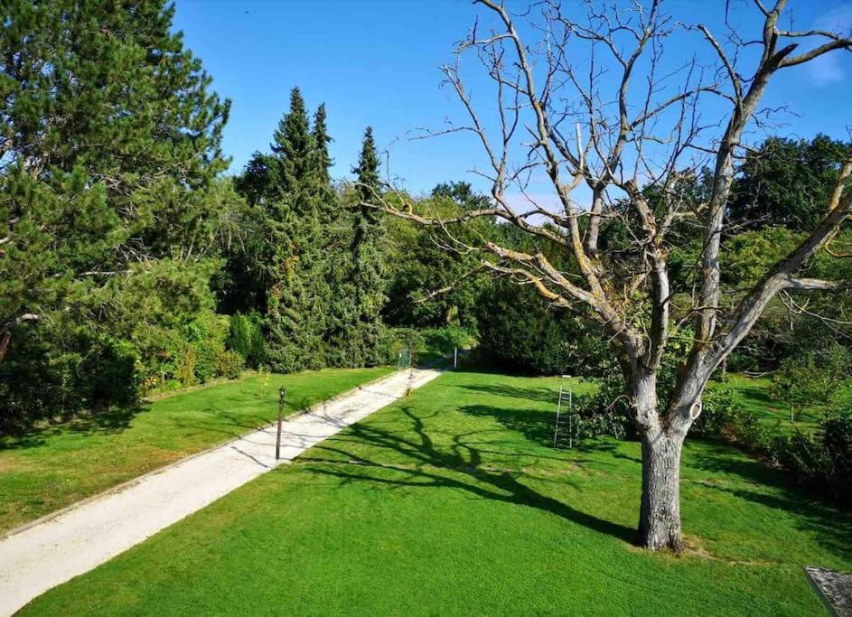 Ueber Den Daechern Von Koblenz - Aussichts-Wohnung Naturpark Rheinblick, Ruhig, Zentrumsnah, Sport-Pool Esterno foto