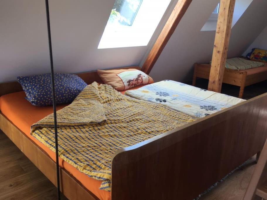 Ueber Den Daechern Von Koblenz - Aussichts-Wohnung Naturpark Rheinblick, Ruhig, Zentrumsnah, Sport-Pool Esterno foto