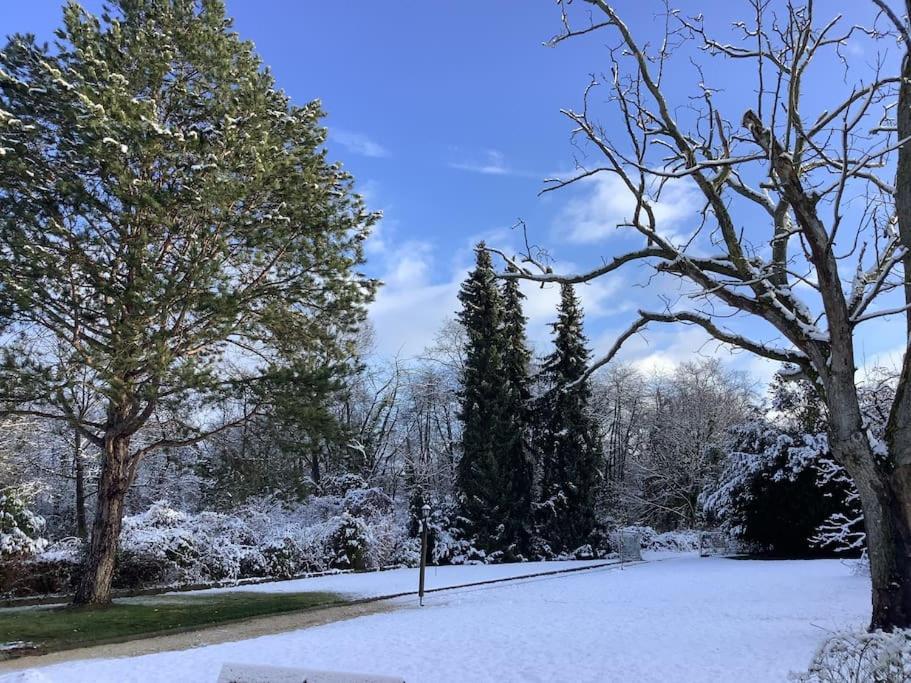 Ueber Den Daechern Von Koblenz - Aussichts-Wohnung Naturpark Rheinblick, Ruhig, Zentrumsnah, Sport-Pool Esterno foto