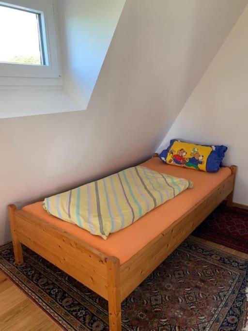 Ueber Den Daechern Von Koblenz - Aussichts-Wohnung Naturpark Rheinblick, Ruhig, Zentrumsnah, Sport-Pool Esterno foto