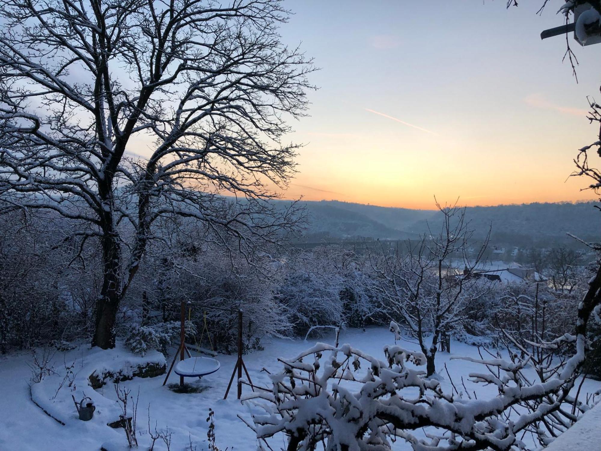 Ueber Den Daechern Von Koblenz - Aussichts-Wohnung Naturpark Rheinblick, Ruhig, Zentrumsnah, Sport-Pool Esterno foto