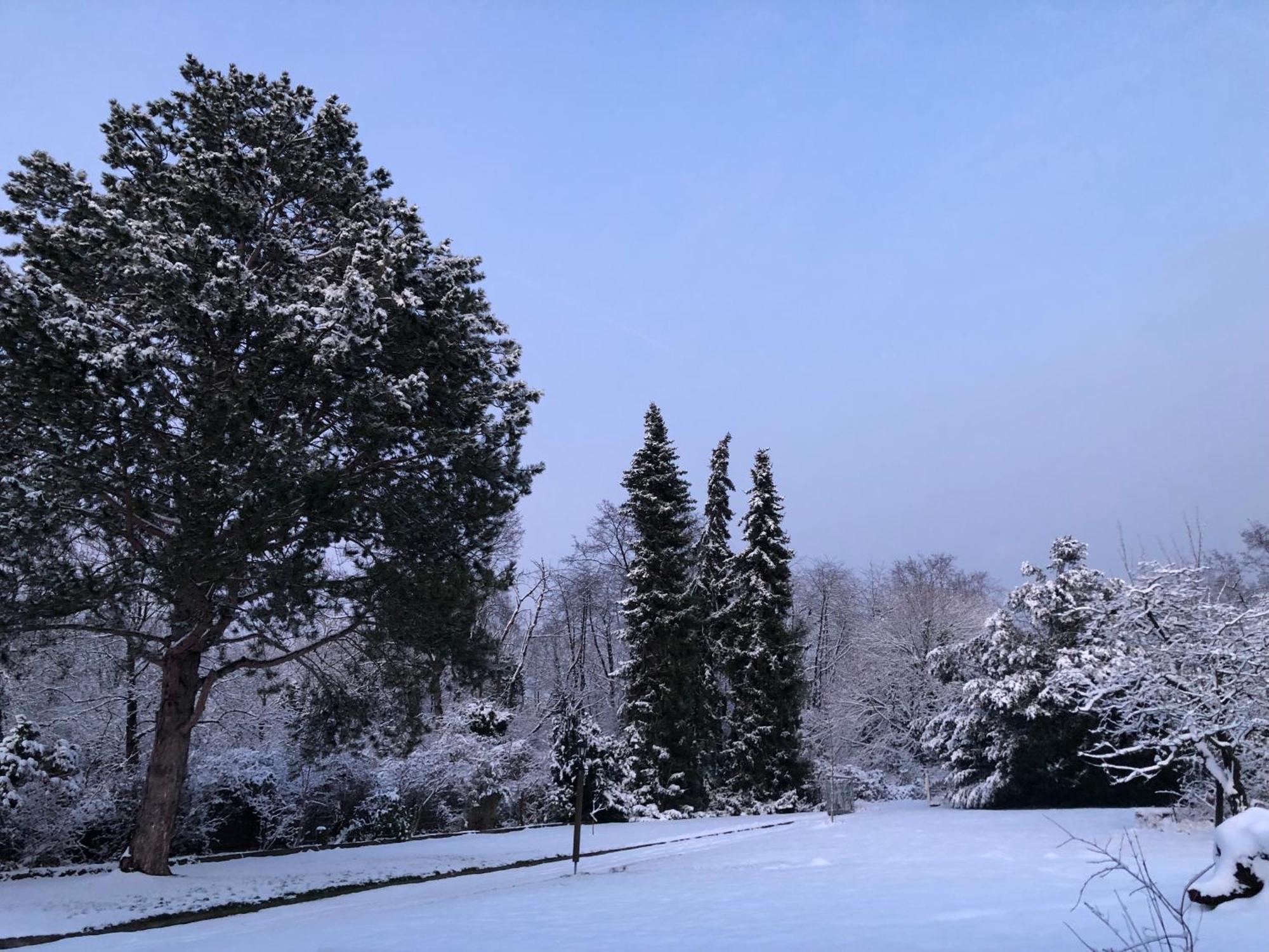 Ueber Den Daechern Von Koblenz - Aussichts-Wohnung Naturpark Rheinblick, Ruhig, Zentrumsnah, Sport-Pool Esterno foto